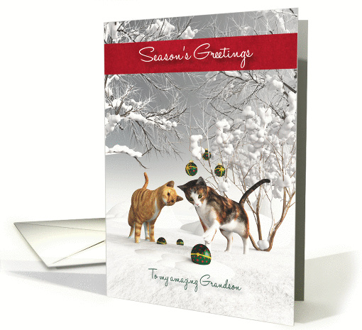 Grandson Fantasy Cats Snowscene Season's Greetings card (1396840)