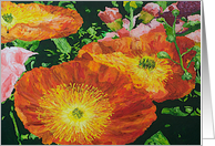 All Occasion Blank Note Card - Red Orange Poppies card