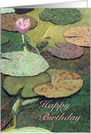 Happy Birthday - Pink Lily Green Pond card