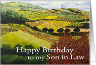 Fields & Hills Landscape with Red Bush - Happy Birthday Son in Law card
