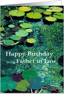 Green Water Lily Pond - Happy Birthday Father in Law card