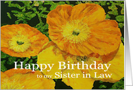 Large Orange Poppies - Happy Birthday Sister in Law card