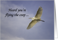 Flying the Coop Miss You Card