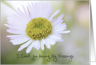 Floral Count You Among Blessings Thank You card