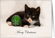 Merry Christmas Kitten card