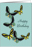 Blue and Yellow Butterflies Happy Birthday General card