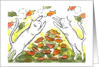 White Cats Play in Autumn Leaves card