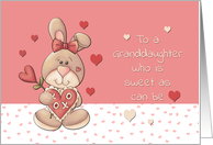 Granddaughter Valentine Sweet as can be Bunny card