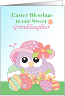 Granddaughter Easter with Owl Wearing Hat Colored Eggs Pink Green card