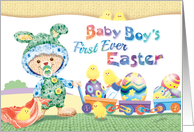 Baby Boy’s 1st Easter - Woolly Baby Bunny with Chicks and Eggs card