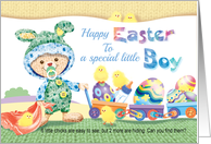 Happy Easter Little Boy - Woolly Boy Bunny with Chicks and Eggs card