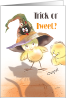 Halloween, Trick or Tweet - Oops, Bird in Witches Hat faces Cat card