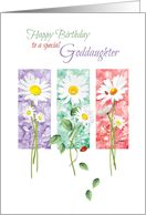 Birthday, Goddaughter, - 3 Long Stem Daisies on Color Panels card