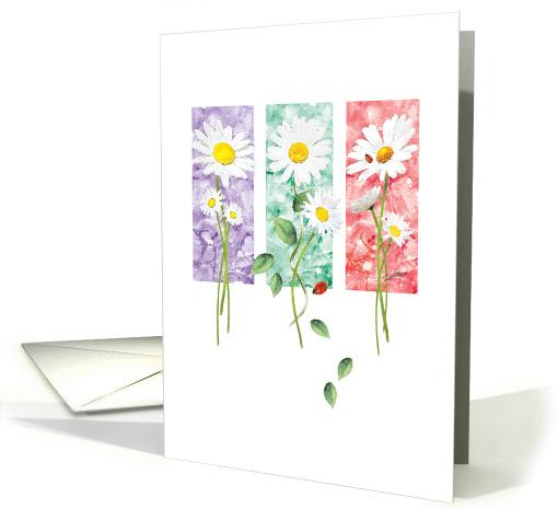 Blank, All Occasions, - 3 Long Stem Daisies on Color Panels card