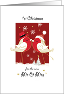 1st Christmas, Newlyweds, For The New Mr & Mrs. 2 Robins Kissing card