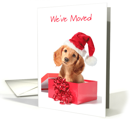 We've Moved Card With Christmas Dog In Box Wearing Santa Cap card
