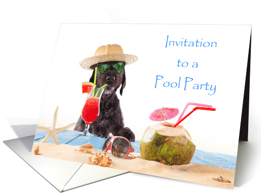 Invitation To A Pool Party/Dog with sunglasses and a drink card