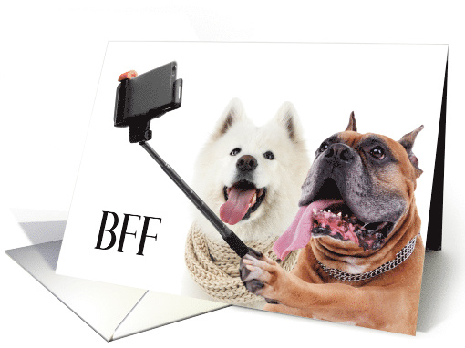 Friendship Missing You Dogs Selfie Best Friends BFF card (1458650)