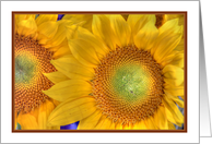 Yellow Sunflowers Bright and Cheerful ReligiousThank you card