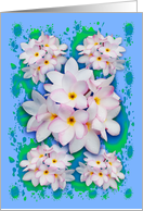 Plumeria Bouquet Exotic Summer Collage card