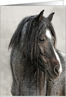 Portrait of a Stallion Wild Horse Be Strong and Believe card