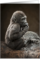 Happy Birthday Baby Gorilla On Mom’s Back Having A Time Out To Think card