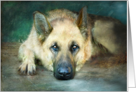 German Shepherd Resting on Porch Looking Right At you Miss You card