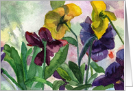 Purple Pansy Note Card