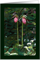 Pink Lady Slipper Flowers in the Woods thinking of you card