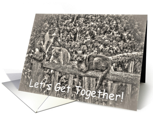 Casual Get-Togethers with Friends -- Wild Cats Textured card (1206600)