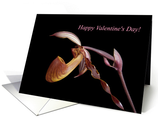 Valentine's Day -- Purple Orchid on Black card (1209232)