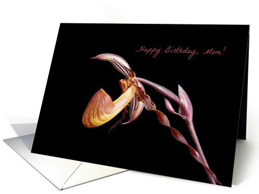 Happy Birthday, Mom-- Purple and Pink Orchid on Black. card (1222792)