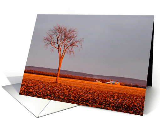 Announcing Our News -- Golden Sunset Countryside Scene card (1224694)