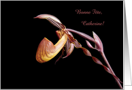 Name Day, Catherine -- Paphiopedilum Gardineri orchid, Customizable card