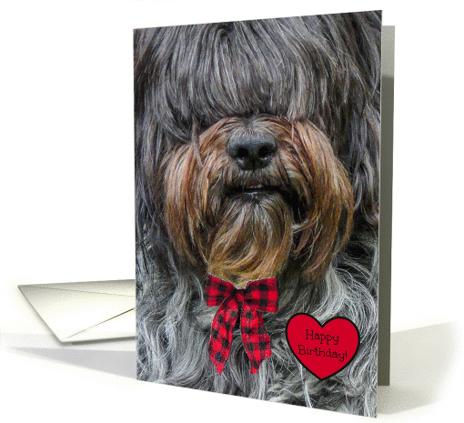 Birthday for Loved One -- Sheepdog -- Red Bow and Heart card (1256808)