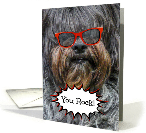 Congratulaions -- Sheepdog in Red Sunglasses card (1256810)