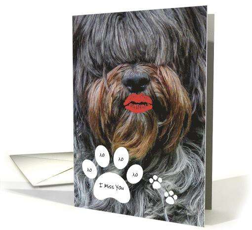 Missing You -- Humorous Sheepdog Kiss with Paw Print card (1264418)