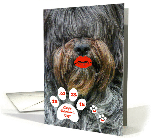 Valentine's Day - Shaggy Sheep Dog - Red Lips - Whimsical card