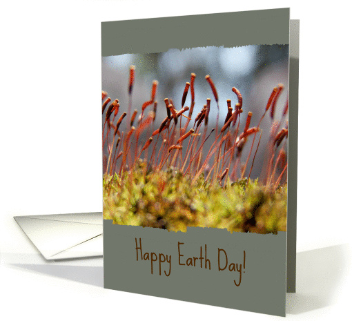 Happy Earth Day - Miniature World - Macro Moss in Forest card