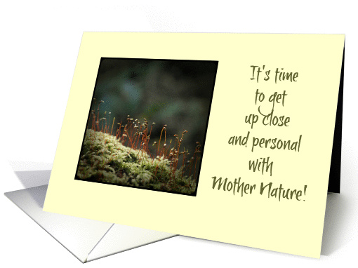 Happy Earth Day - Mother Nature - Macro Moss in Forest card (1370422)