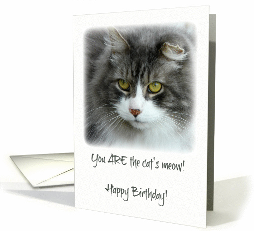 Happy Birthday Cat's Meow Gray & White Cat card (1429760)