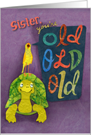 Yellow Birdie on Old Tortoise Birthday for Sister card