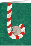 Mouse Sleeping in Candy Cane card