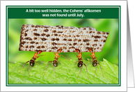 Jewish Humor Ants Afikomen Too Well Hidden Passover Card