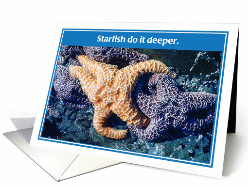 Starfish Do It Deeper Birthday card (1256648)
