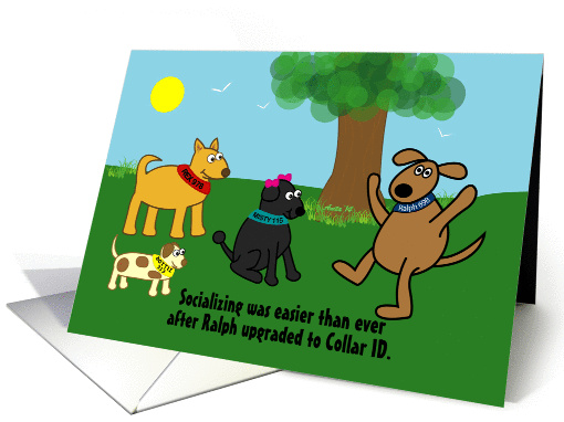 Collar ID - dogs, park, grass, tree, caller id, dating, funny card