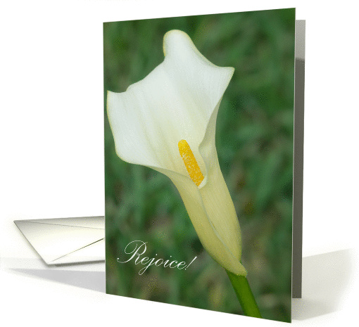 Calla Lily Easter card (1271744)