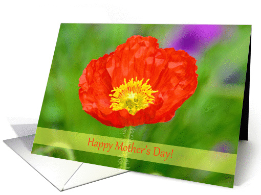 Bright Poppy Flower Mother's Day card (1272296)