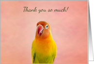 Lovebird Thank You card