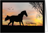 Silhouette Horse in Front of Sunset with Tree and Birds Birthday Card